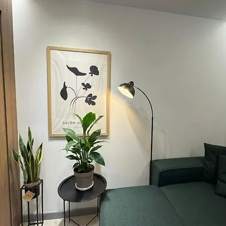 Olive Nest I Near Us Embassy * 티라나